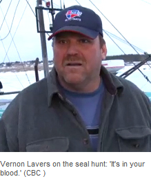 Vernon Lavers on the seal hunt: 'It's in your blood.' (CBC )